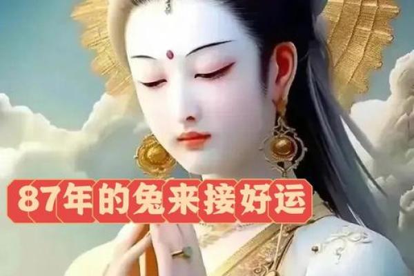 属兔人2024年结婚吉日 属兔2023年可以结婚吗