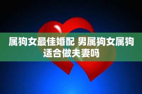 属狗7月婚姻吉日 属狗今年结婚最佳月份