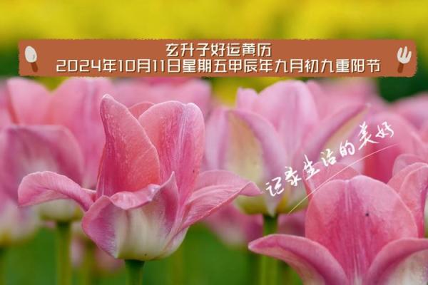 阴历九月结婚黄道吉日 初九是黄道吉日吗 阴历九月结婚黄道吉日 初九是黄道吉日吗